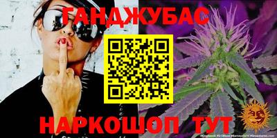 стаф Новокубанск