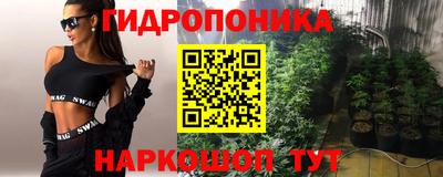 амф Обь